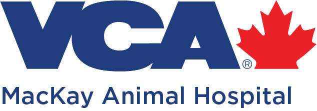 MacKay Animal Hospital